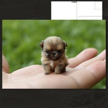 ✨POSTCARD: Tiny Sitting Dog - Adorable Pocket-Sized Companion!  - £4.73 GBP