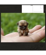 ✨POSTCARD: Tiny Sitting Dog - Adorable Pocket-Sized Companion!  - £4.73 GBP