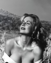 Vintage 8x10 Photo Reprint - Anita Ekberg 1950s Glamour - Retro Wall Art - $9.89