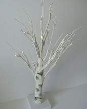 Indoor LED Birch Trees Warm White Light Tabletop Set of 2, 18 in, battery operat - £21.64 GBP