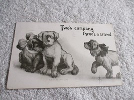 Two&#39;s Company, Three&#39;s a crowd 1910 Dog pet Humor Postcard Posted - £27.14 GBP