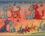 Variety is the Spice of Life Cat Comedy Postcard PC568 - $4.99