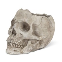 Large Skull Planter Cement 5" high Gray Spooky Textured Detail image 2