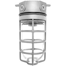RAB VX100DG-3/4&quot; HUBS VAPORPROOF DIE CAST ALUMINUM LIGHT FIXTURE W/ GUAR... - $1,491.02 MXN