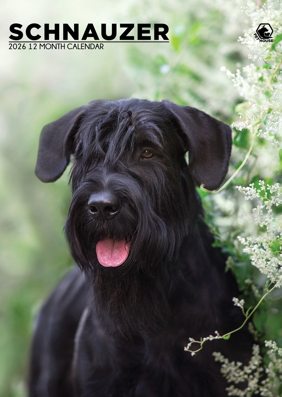 Schnauzer Calendar 2026 - $19.99