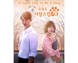 A Good Day to Be a Dog (2024) Korean Drama - $57.00