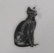 Cat X-Ray Transparent Sticker 2.25&quot; x 2&quot; (AT) - $1.64
