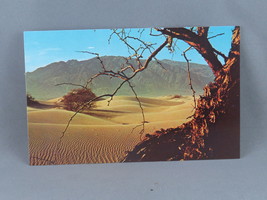 Vintage Postcard - Sand Dunes Death Valley National Monument - Dexter Press - £11.96 GBP