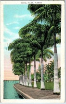 Royal Palms Florida Postcard Posted 1934  - £5.90 GBP