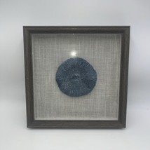 SHADOW BOX NATURAL SEA CORAL FRAME 12&quot;X12&quot; - £39.52 GBP