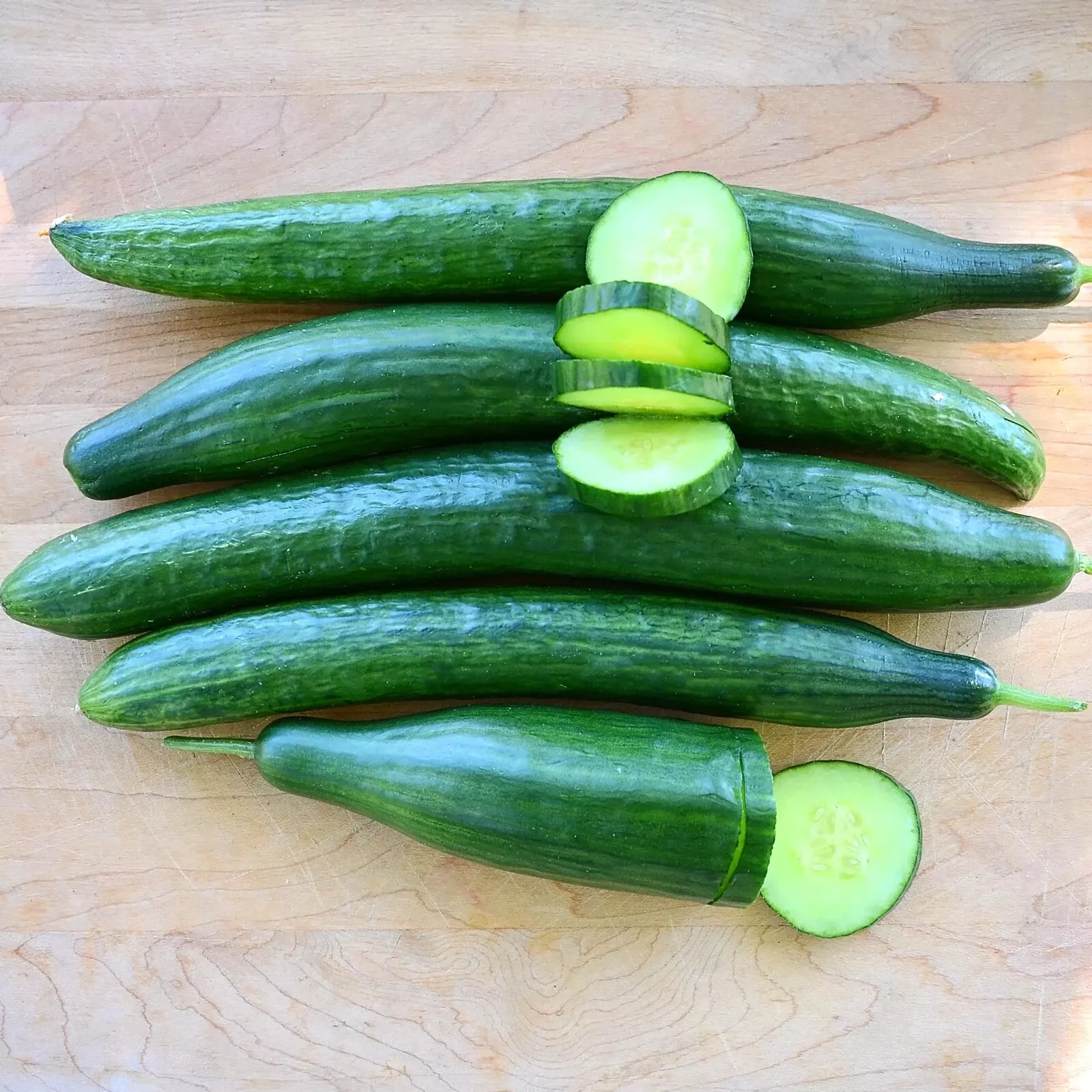 25 Seeds Bella Cucumbers Edible Gardening Fresh USA Seller - £9.95 GBP