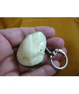 (TNE-BIR-EA-245d) white Bald Eagle bird TAGUA NUT Figurine carving KEYCH... - $22.11 CAD