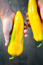 ENIL 25 Seeds Corno Di Toro Giallo Peppers Easy to Grow Vegetable Garden Edible - £3.34 GBP