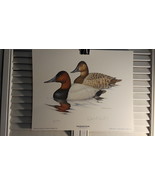  CANVASBACK DUCKS ,  LIMITED EDITION ART PRINT 422/780, BY ROBERT O. RIC... - €128,87 EUR