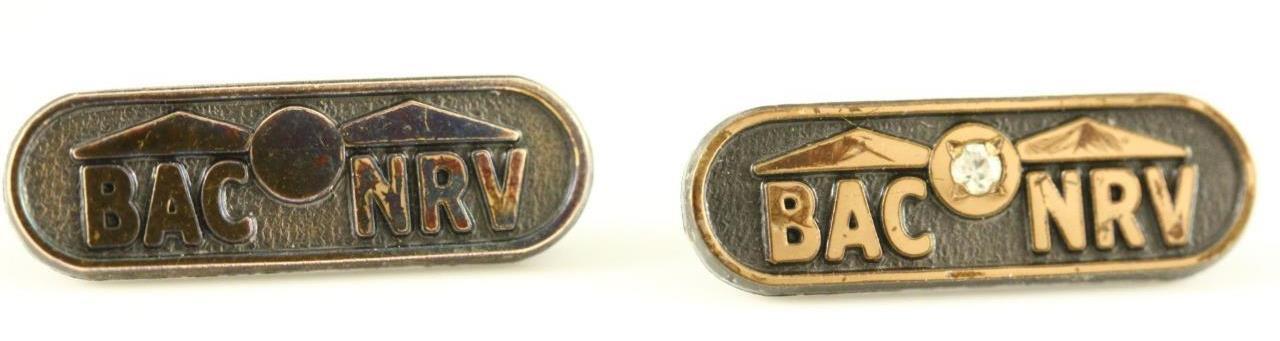 Vintage TERRYBERRY Service Lapel Pins BAC NRV New River Valley Blacksbur... - $12.35
