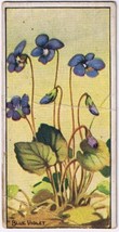 Cowan Co Toronto Card Blue Violet Wild Flowers Of Canada - £3.97 GBP