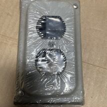 Wiremold 1543GL Grounding Duplex Receptacle 17JS-1107-F3 - €4,24 EUR