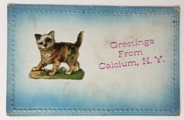 Greetings From Calcium New York Antique PC Calico Kitty Cat Kitten - £9.48 GBP