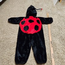 Chosun Ladybug Black Red Yellow Plush Full Body Zip Costume Child Size 36&quot; - £19.44 GBP