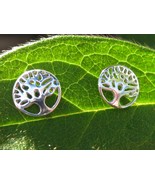 Powerful Tree of Life Stud Earrings Cast with 10 Ancient spells - $33.33