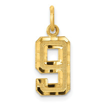 14k Small Brushed Diamond-cut Number 9 Charm SN09 - $152.58