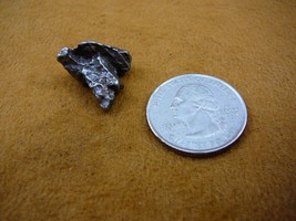 (x262-109) 6 g Campo del Cielo iron meteorite 1576 shrapnel fragment spe... - $15.88