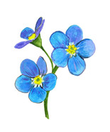 Forget Me Not Flower Printed Vinyl Decal Car Wall Window Sticker - $6.95+