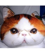 Cat Exotic Shorthair Cat Face Plush Pillow 13&quot; New - $13.74