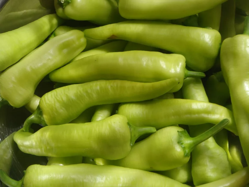 BPASTORE 50 Sweet Banana Pepper Non-Gmo Greek Salad Banana Chili Seeds Online - $9.39