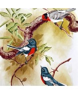 Painted Redstart Red Warbler 1957 Lithograph Bird Art Print John H Dick ... - £39.32 GBP