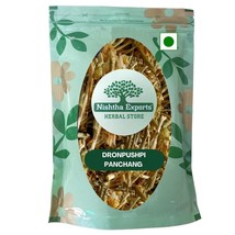 Leucas aspera-Dronpushpi Panchang-Guma-Thumbai-Raw Herbs-Jadi Booti-Sing... - $17.68+