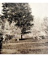 Manchester Orchard And Landscapes Maine 1924 Gravure Print New England D... - €8,64 EUR