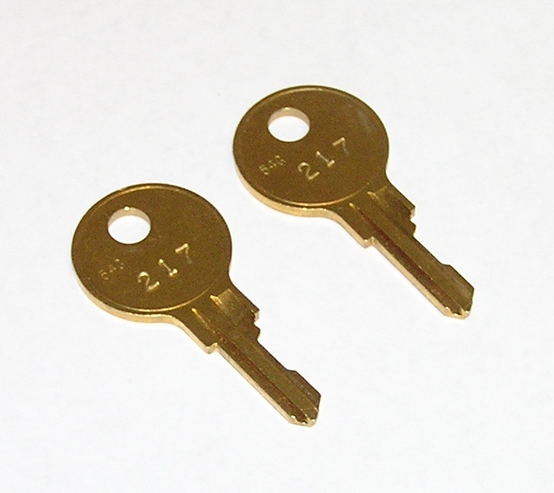 2 - Fort 217 Replacement Keys fit Sellstrom Germicidal Cabinets & Other ...