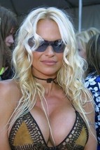 Pamela Anderson 4x6 inch press photo #353688 - $4.75