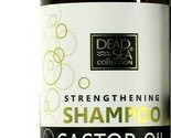 Dead Sea Collection Strengthening Castor Oil Softening Shampoo - £17.20 GBP