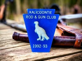KALICOONTIE Rod &amp; Gun Club Plastic Pheasant  Pin Button Columbia County ... - $9.87