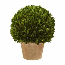 Unknown1 15&quot; Boxwood Ball Preserved Plant in Planter - $163.34