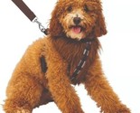 Rubies Official Star Wars Chewbacca Dog Harness Wookie Pet Accessory Siz... - £11.82 GBP