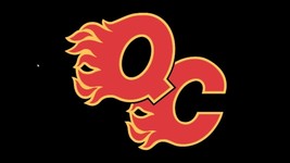 Quad City Flames Defunct 2007-09 AHL Hockey Mens Polo XS-6X, LT-4XLT Cal... - $25.64+