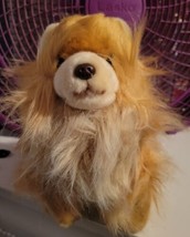 Gund-Boo's Friend "Buddy" The Pomeranian World's Cutest Dog Plush Stuffed Animal - £11.82 GBP