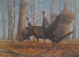 Majestic Trio - Wild Turkeys by David Maass - 1981 Wild Turkey Stamp Print, arti - £66.21 GBP