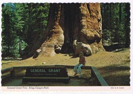 California Postcard King&#39;s Canyon National Park General Grant Tree - £2.32 GBP