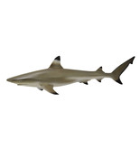 CollectA Blacktip Reef Shark Figure (Medium) - £26.49 GBP