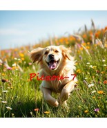 Digital Image Ai Picture Photo Wallpaper Background Desktop Art Happy Dog - $18.15 MXN