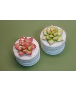 Succulent Jewelry Box, Circle Wooden Ring Box, Handmade and Painted - Sm... - £38.61 GBP