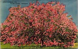 Arkansas Ozarks Apple Blossom Time Pink Flowers Posted 1950 Vintage Post... - £7.34 GBP