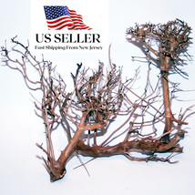 Natural Driftwood #BS006 Wysiwyg - Aquasc API Ng, Super Price!!! Bonsai Tree Decor - £46.51 GBP