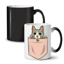 Pocket Cute Kitty Cat NEW Colour Changing Tea Coffee Mug 11 oz | Wellcoda - £15.97 GBP