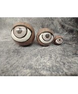 Set of 3 Creepy Eyeball Orbs Eye Balls Halloween Prop Doctor Haunted Hou... - $331.79 MXN