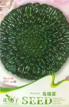 New Fresh Wuta Tsai Chinese Black Vegetables Seeds Pack 40 Seeds / Pack Green Ve - £3.24 GBP